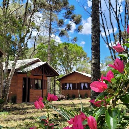 Cabanas Dos Pinheiros Сан-Франсиску-ди-Паула Экстерьер фото