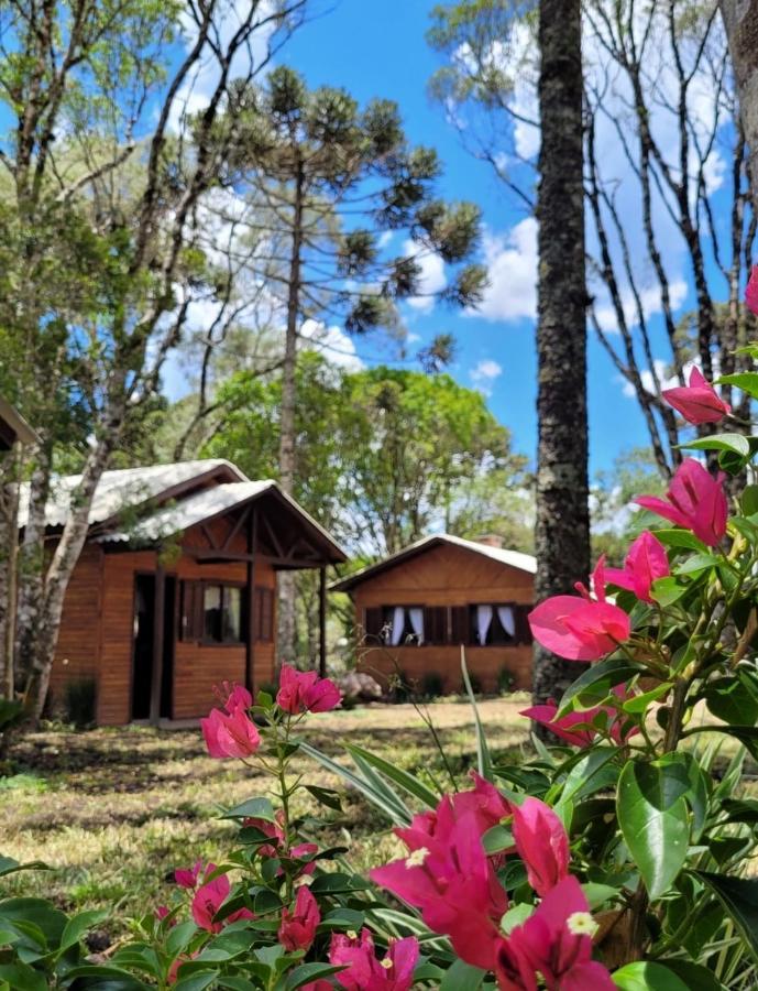 Cabanas Dos Pinheiros Сан-Франсиску-ди-Паула Экстерьер фото