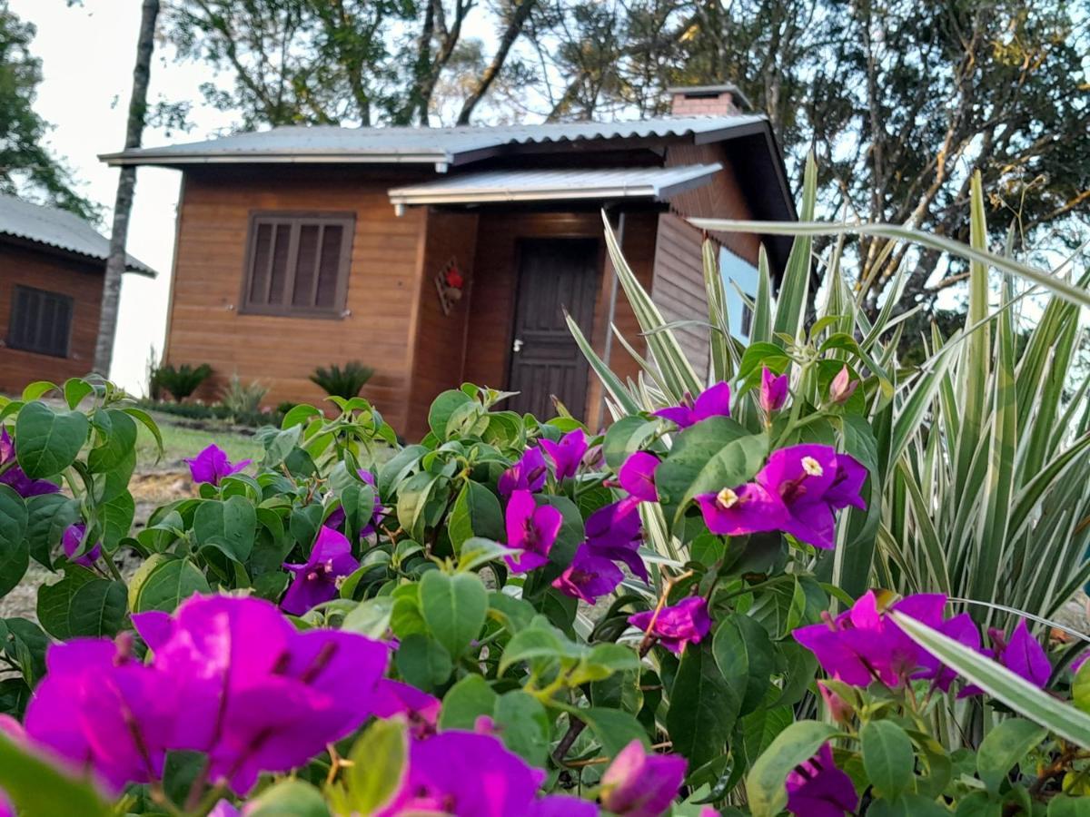 Cabanas Dos Pinheiros Сан-Франсиску-ди-Паула Экстерьер фото