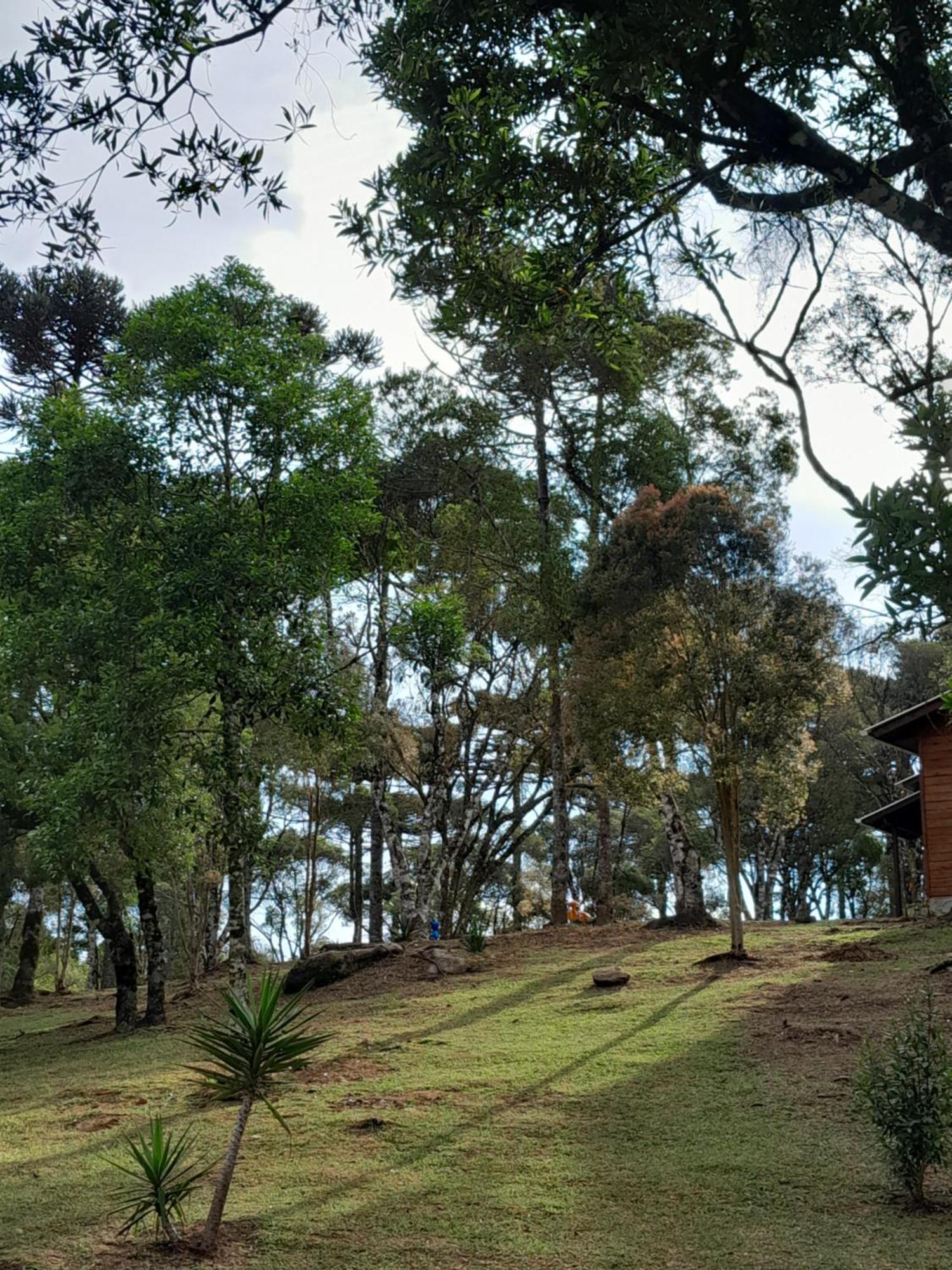 Cabanas Dos Pinheiros Сан-Франсиску-ди-Паула Номер фото