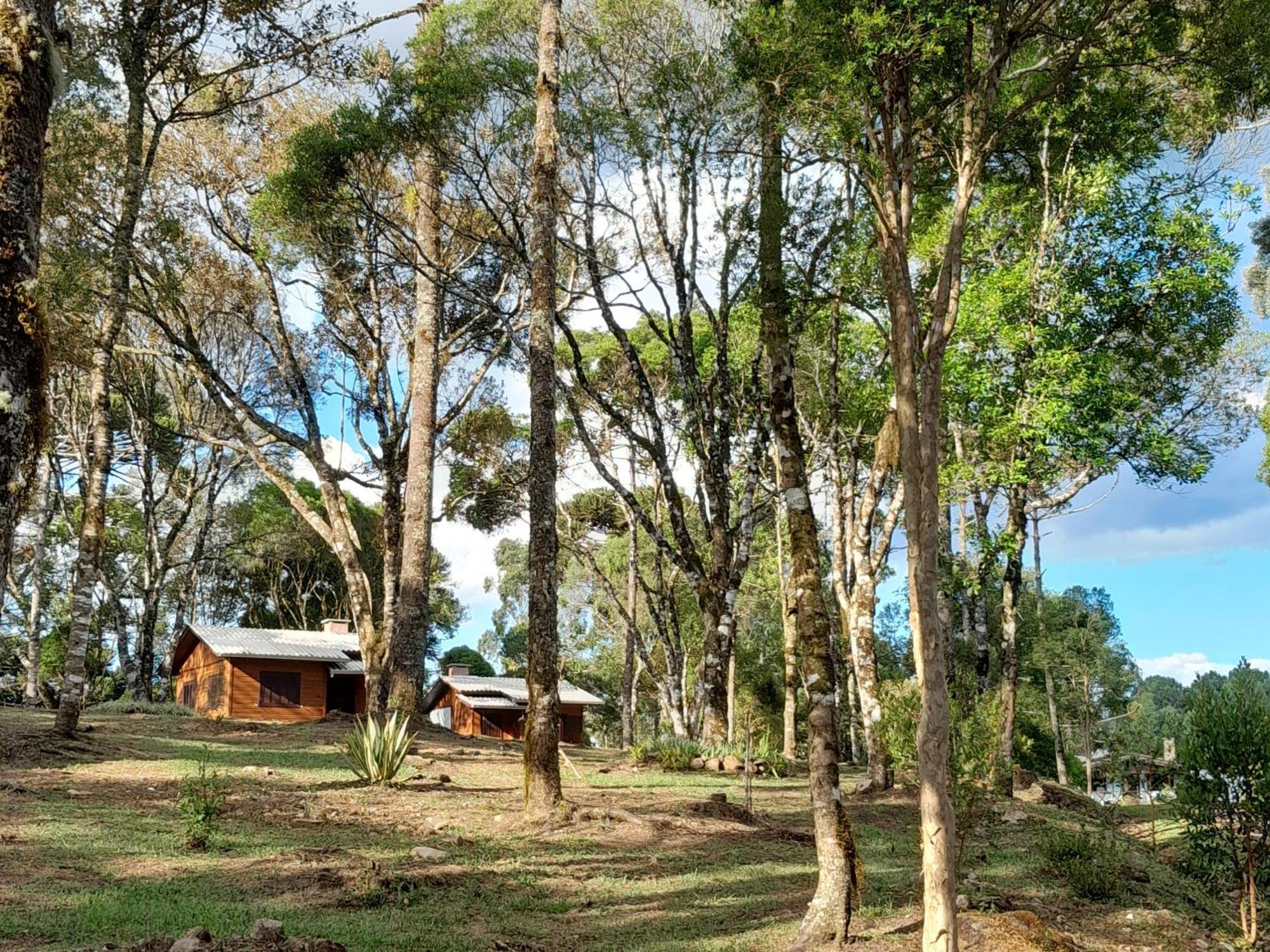 Cabanas Dos Pinheiros Сан-Франсиску-ди-Паула Номер фото