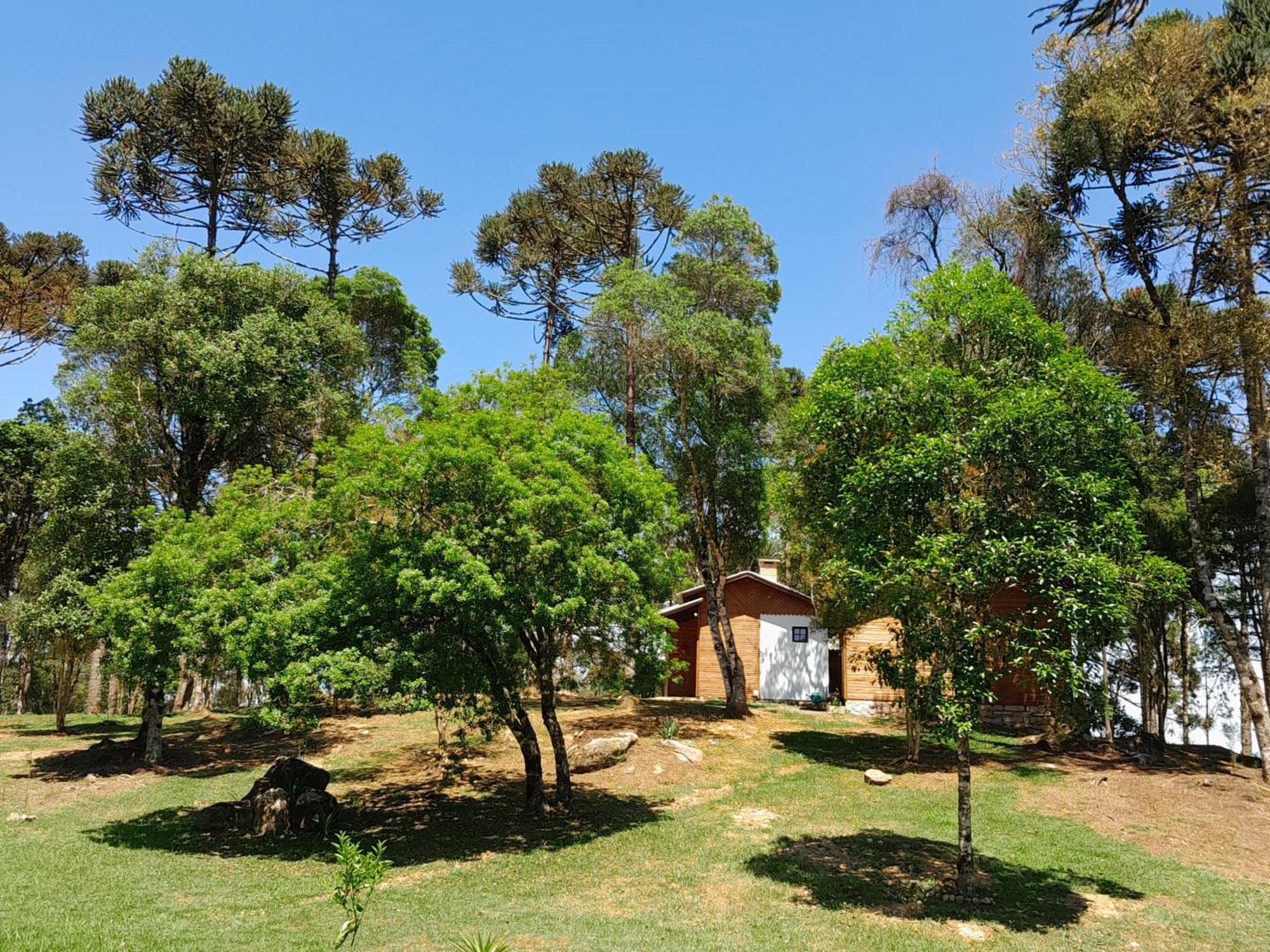 Cabanas Dos Pinheiros Сан-Франсиску-ди-Паула Номер фото