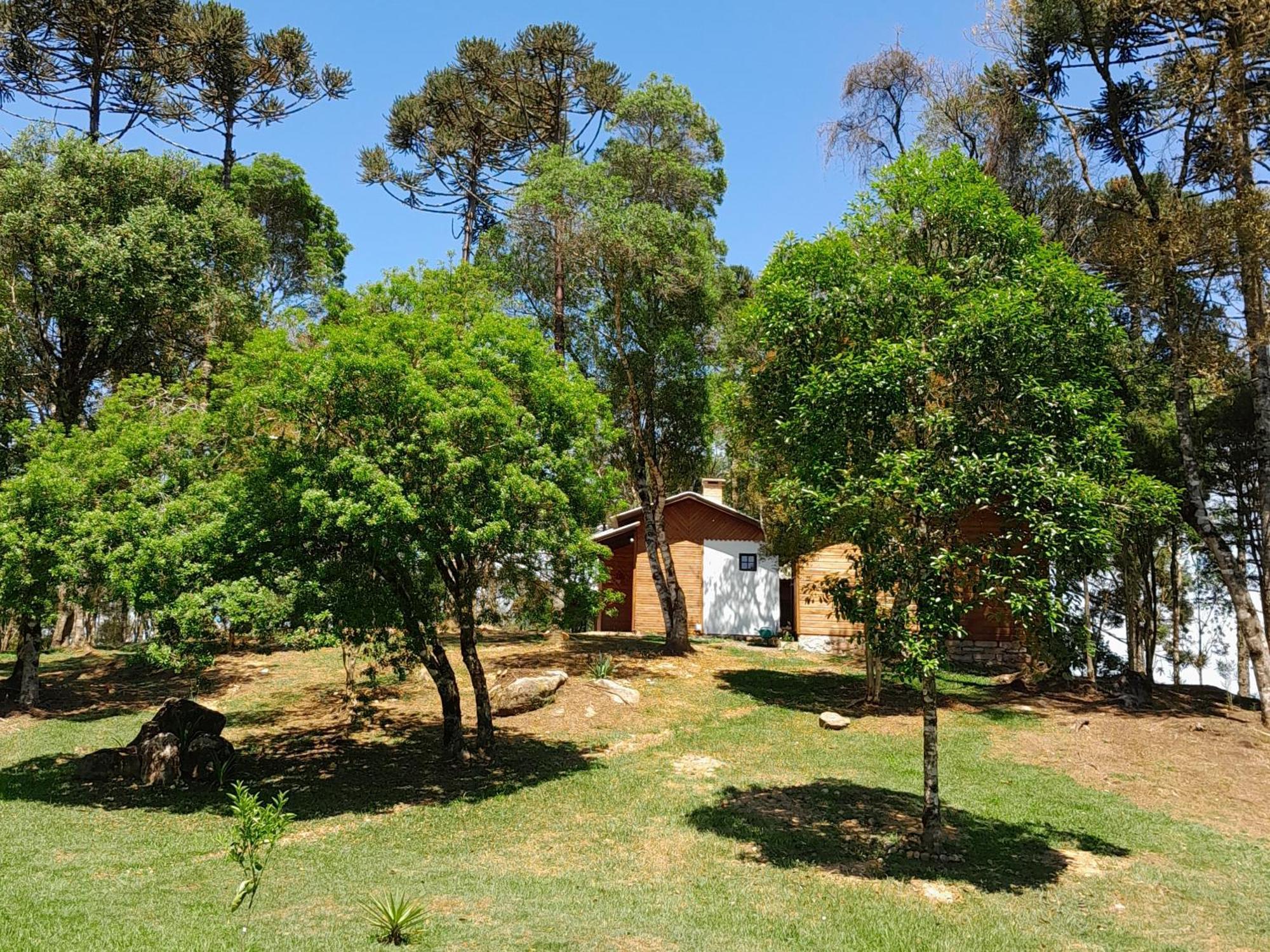 Cabanas Dos Pinheiros Сан-Франсиску-ди-Паула Номер фото